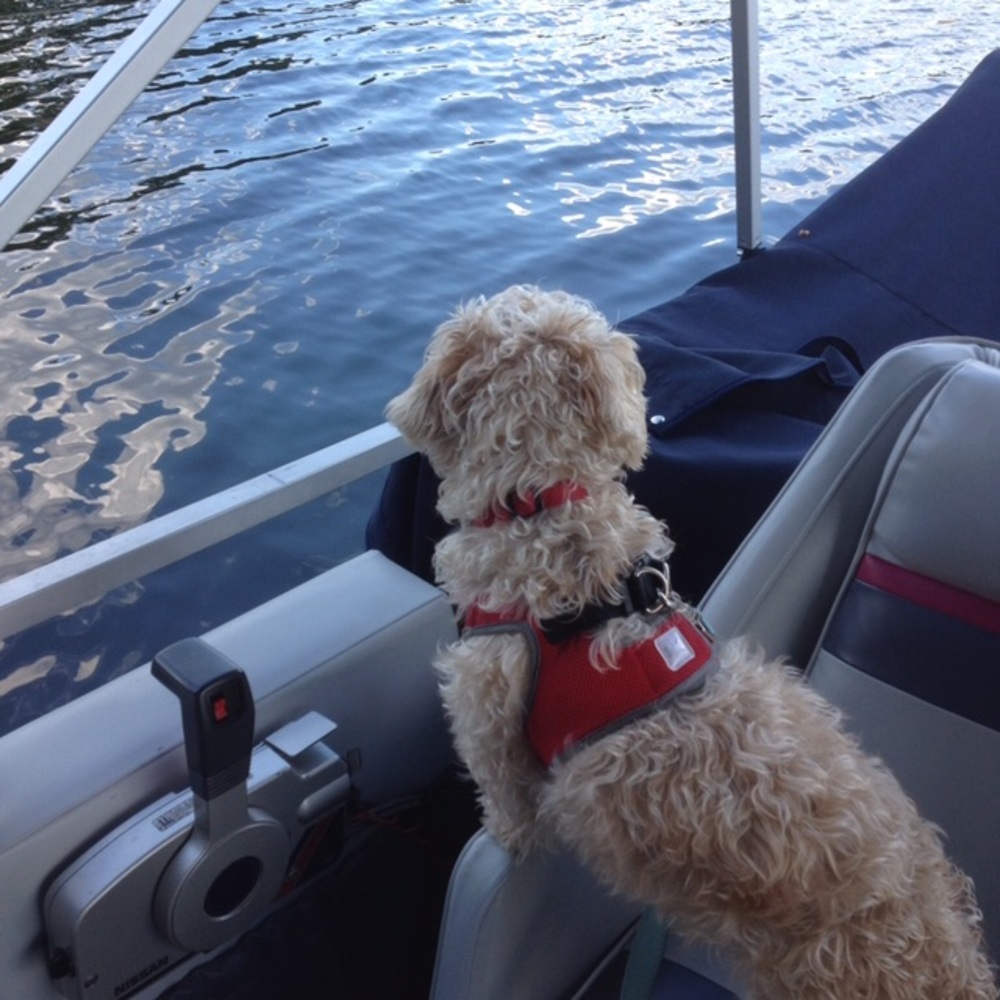 Meet your Posher, Leta